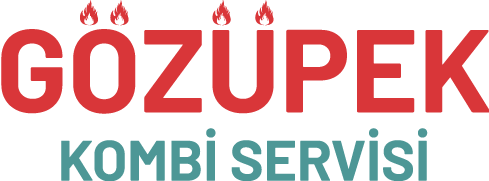 Van Kombi Servisi